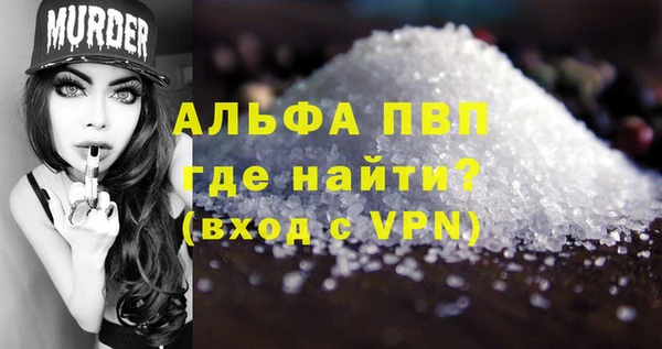 хмурый Абаза