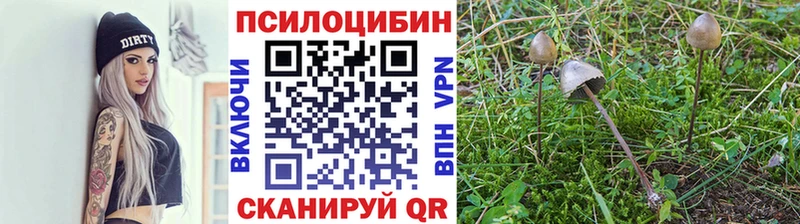 продажа наркотиков  Тольятти  Псилоцибиновые грибы прущие грибы 
