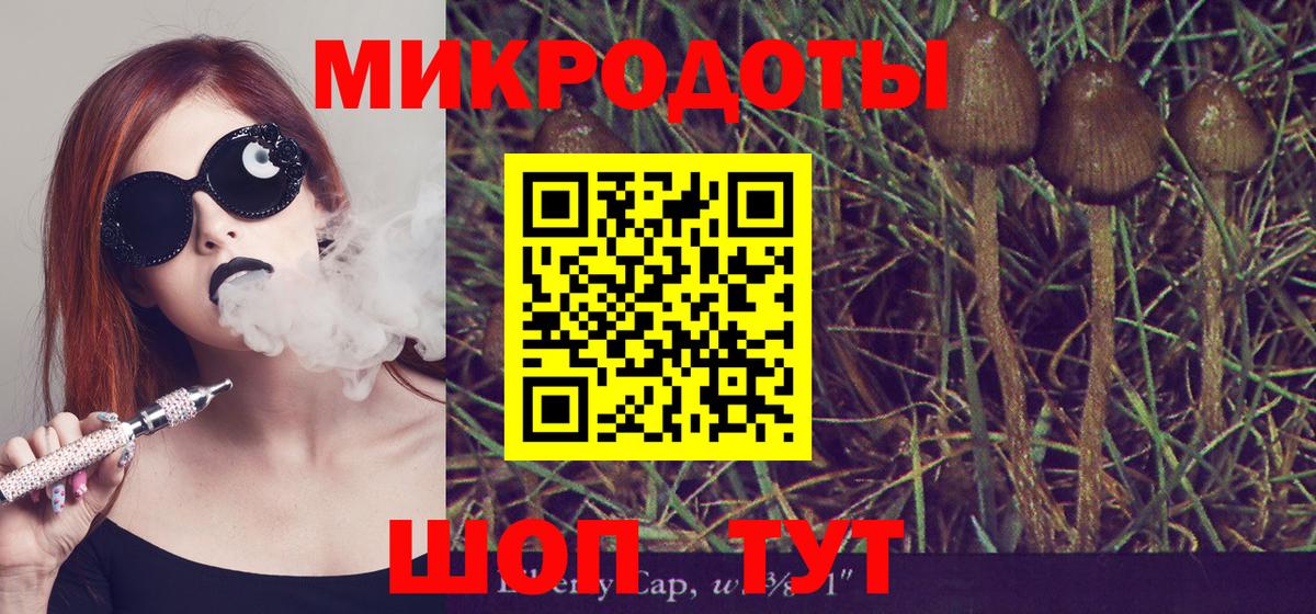 Псилоцибиновые грибы Cubensis Тольятти